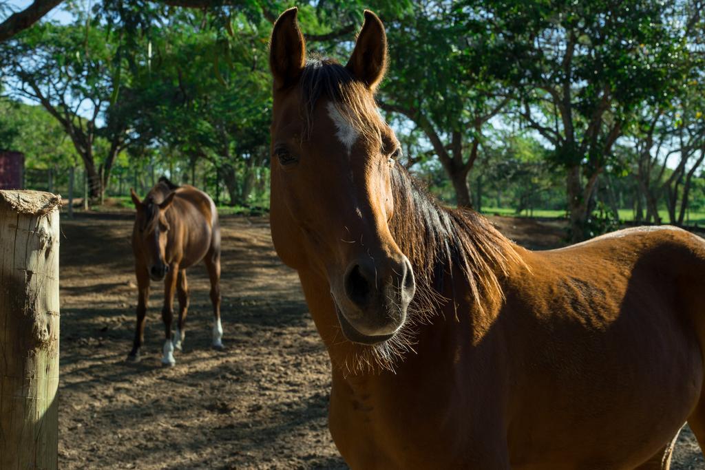 Pousada Fazendinha Buzios Dış mekan fotoğraf