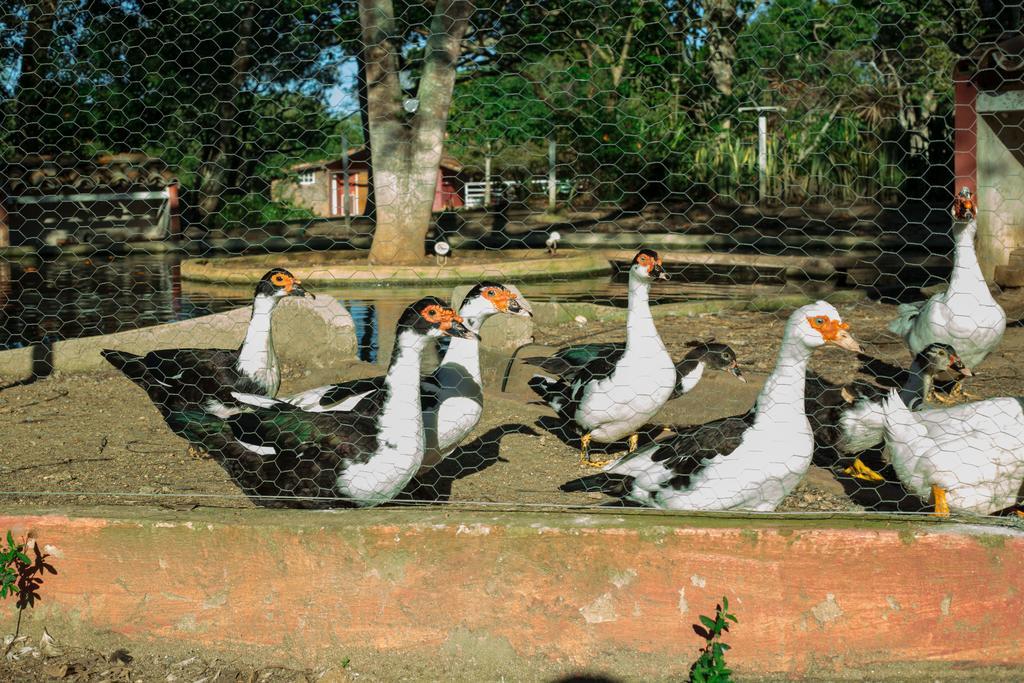 Pousada Fazendinha Buzios Dış mekan fotoğraf